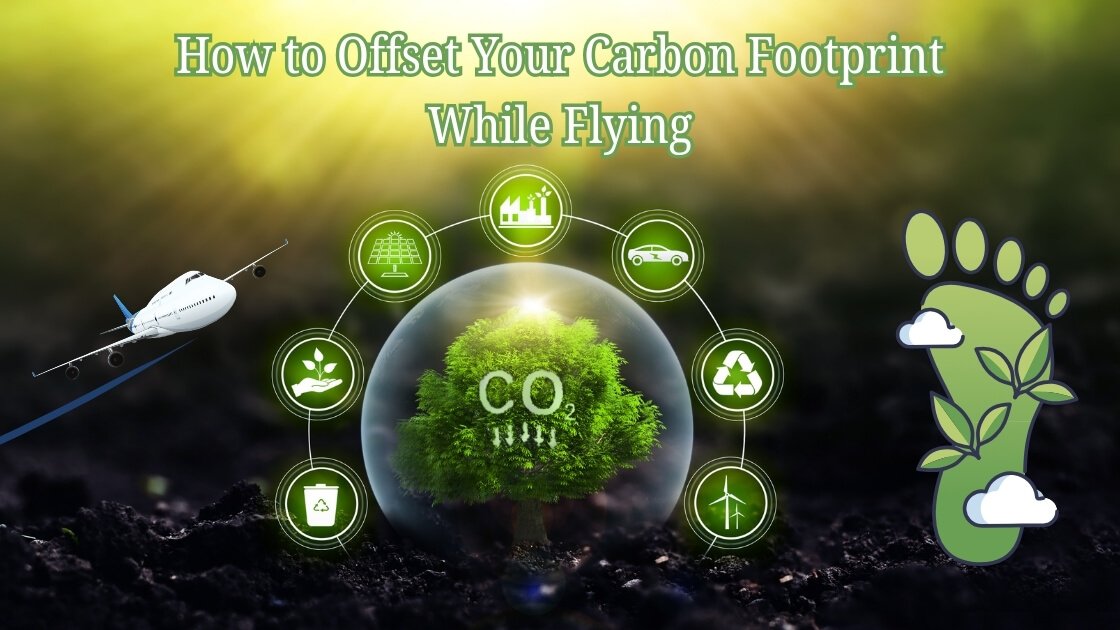 How to Offset Your Carbon Footprint While Flying
