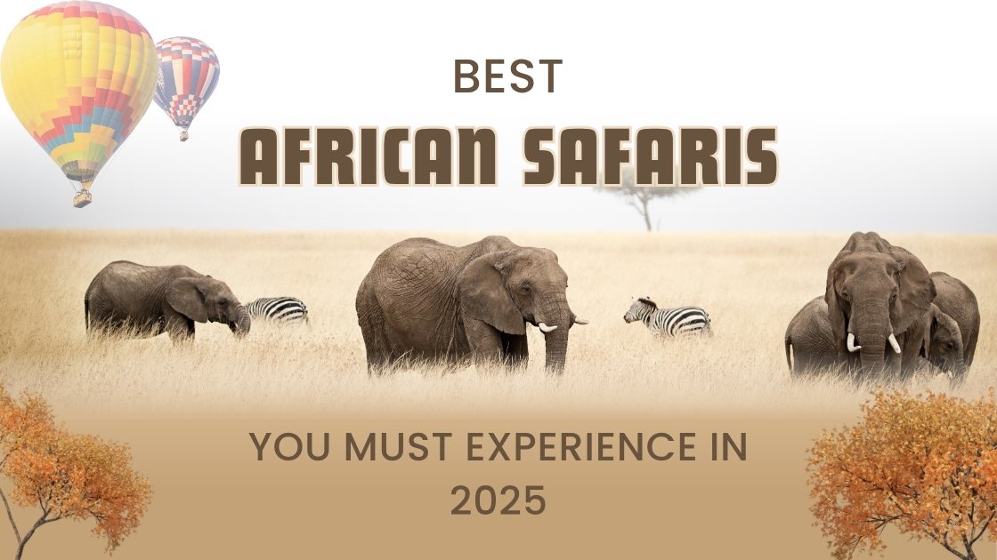 Best African Safaris You Must Experience in 2025
